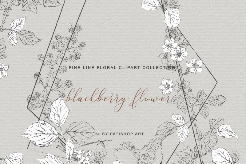 hand-drawn-fine-line-clipart-blackberry-flower