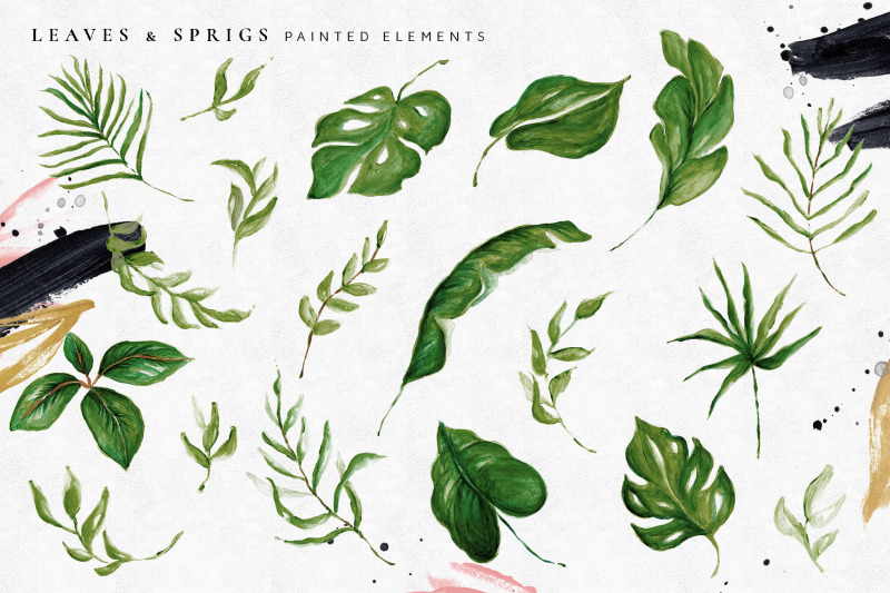 tropical-foliage-illustration-pack