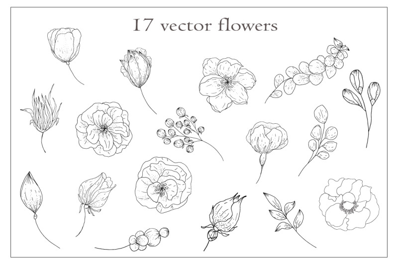 vector-flower-collection