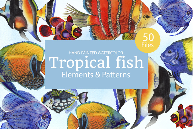 tropical-fish-watercolor-png
