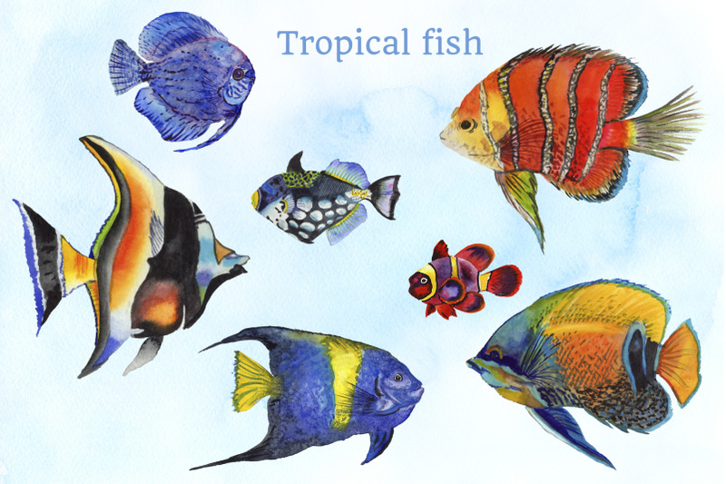 tropical-fish-watercolor-png