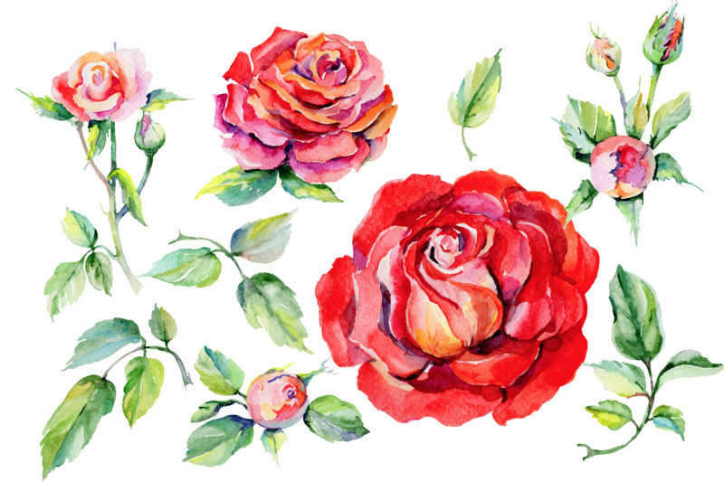 roses-red-png-watercolor-flower-set