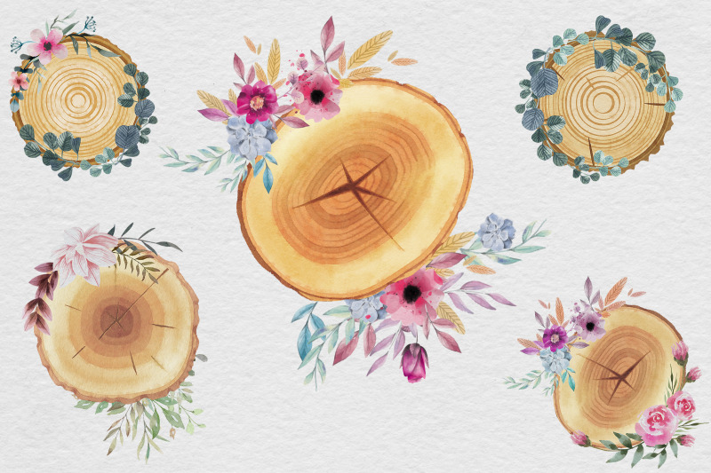 wood-slices-watercolor-clipart