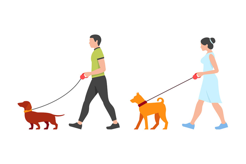 man-and-woman-walking-the-dogs