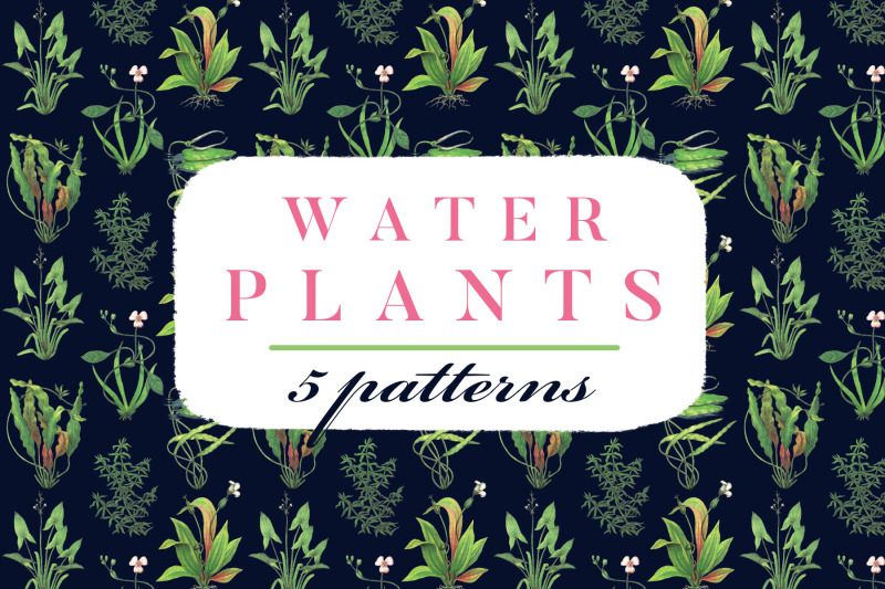 water-plants-patterns