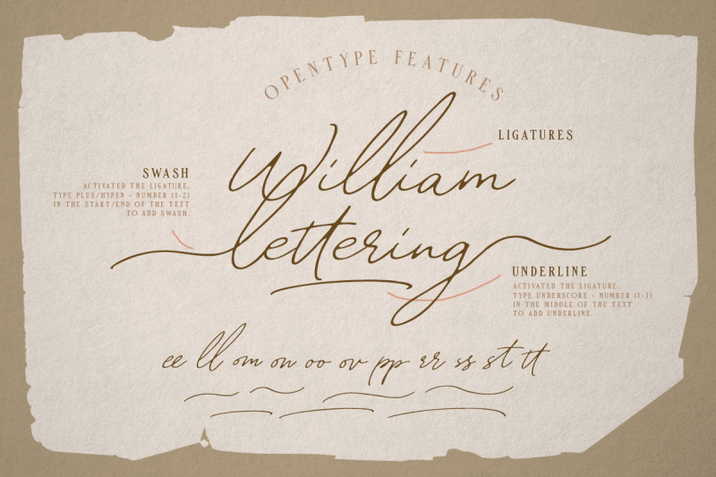 william-letter-signature-script