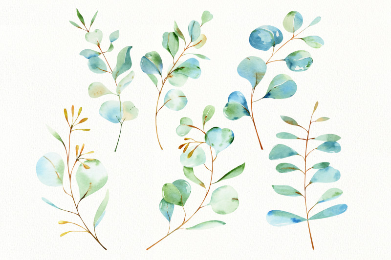 watercolor-eucalyptus-leaves-and-branches