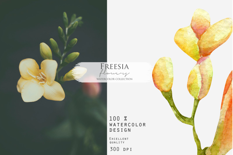 10-bouquets-of-freesia