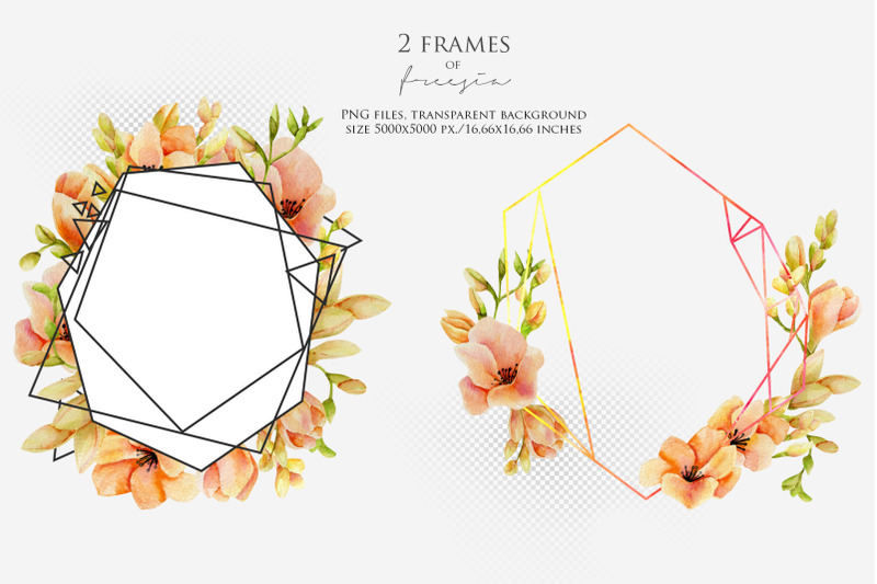 pink-freesia-2-frames