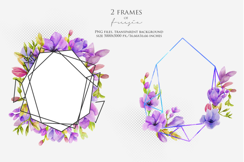 purple-freesia-2-frames