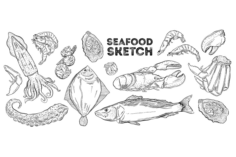seafood-sketch