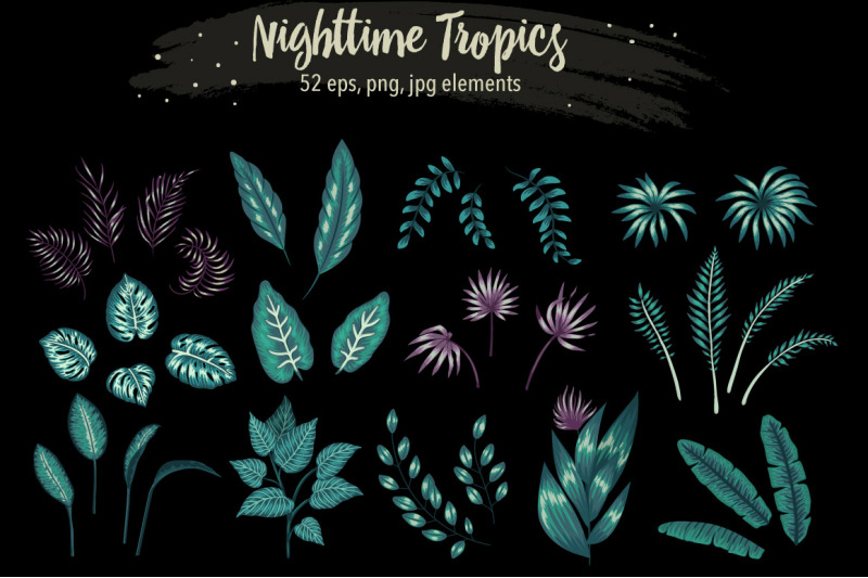 nighttime-tropics