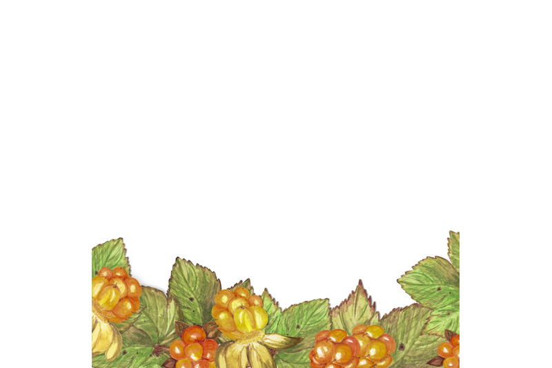 watercolor-berries-leaves-and-flowers-of-northern-cloudberries