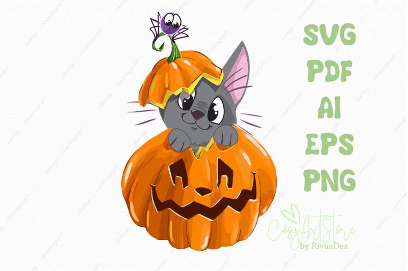 black-kitten-on-pumpkin-svg-download-cute-cat-png-kitten-with-spider
