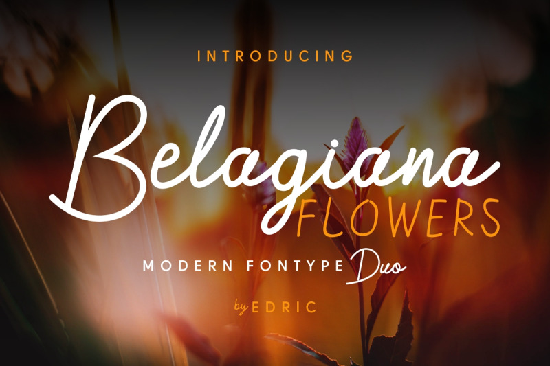 belagiana-flowers