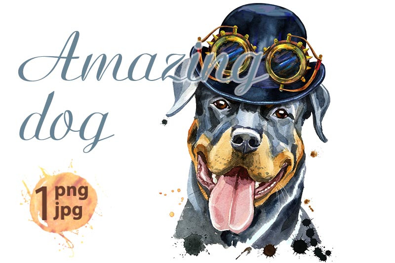 portrait-of-rottweiler-with-hat-bowler-and-steampunk-glasse