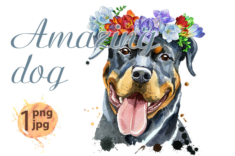 watercolor-portrait-of-rottweiler-in-a-wreath-of-freesia