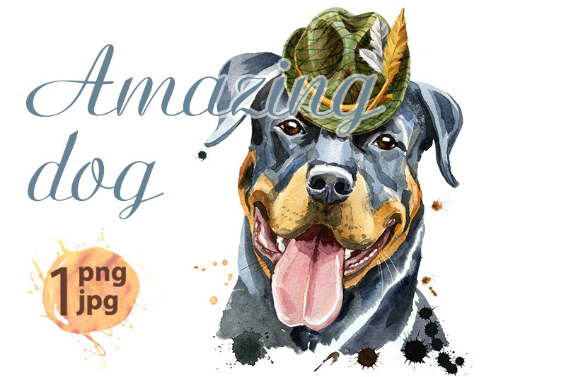 watercolor-portrait-of-rottweiler-with-green-hat
