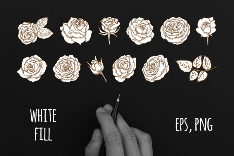 vintage-roses