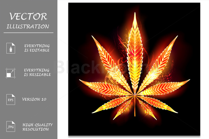 cannabis-fire-leaf