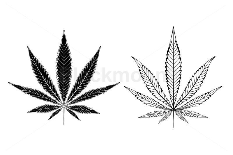 monochrome-cannabis-leaves