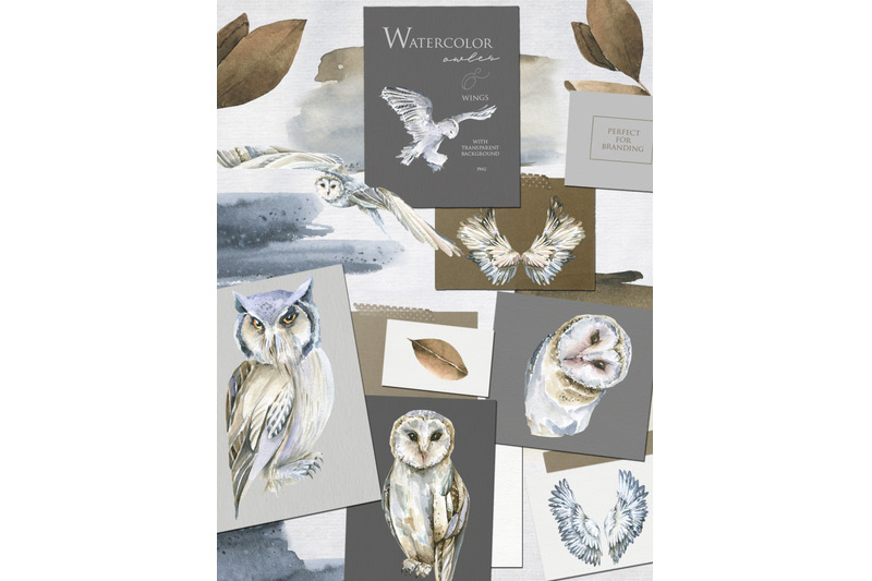 winter-owl-watercolor-collection