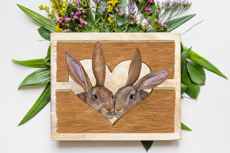 rabbits-clipart-illustrations