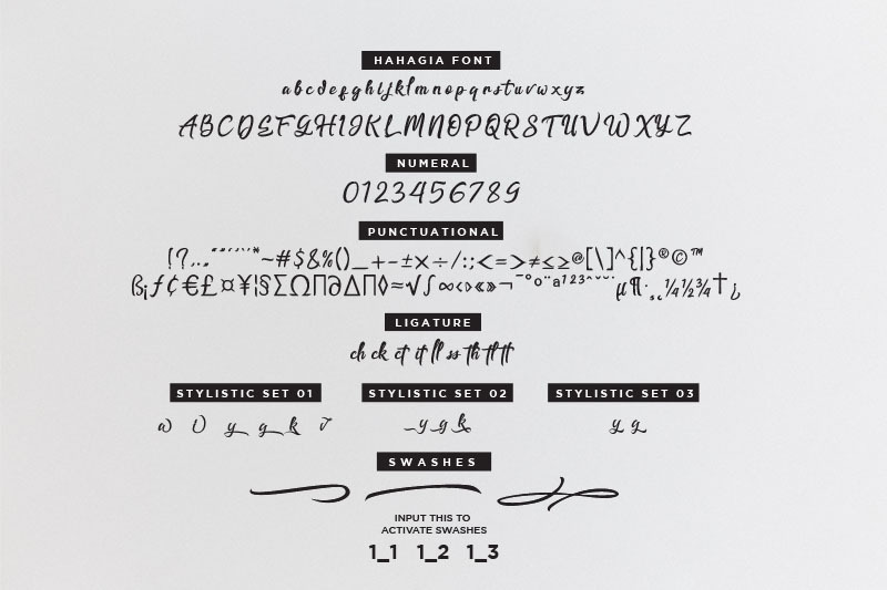hahagia-modern-hand-letter-typeface