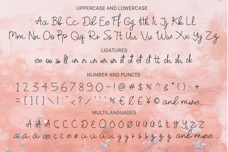 hummingbird-a-handwritten-script-font
