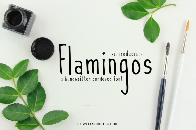 flamingos-a-handwritten-condesed-font