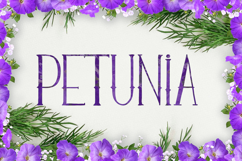 petunia-tall-and-elegant-font