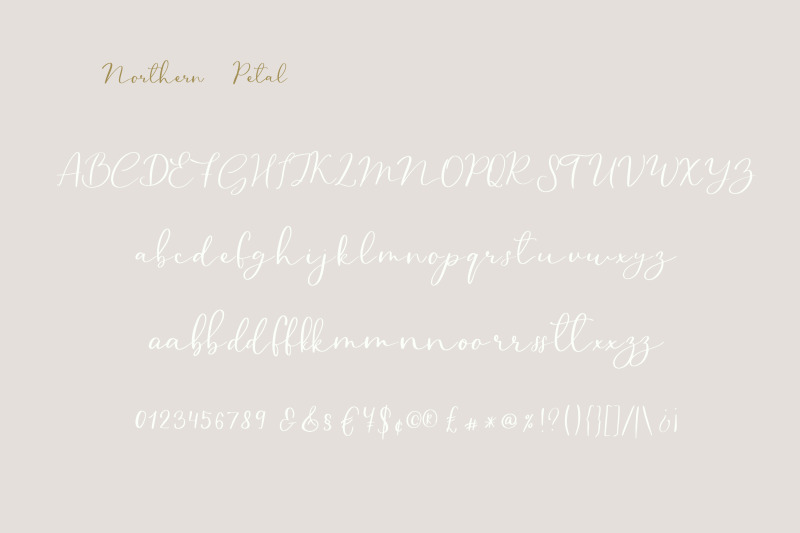 northern-petal-a-casual-script-font