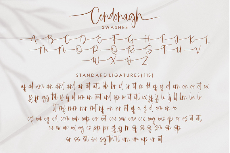 cendonagh-script-font