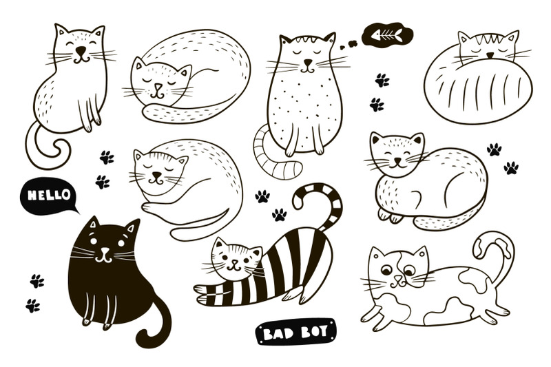 cats-collections