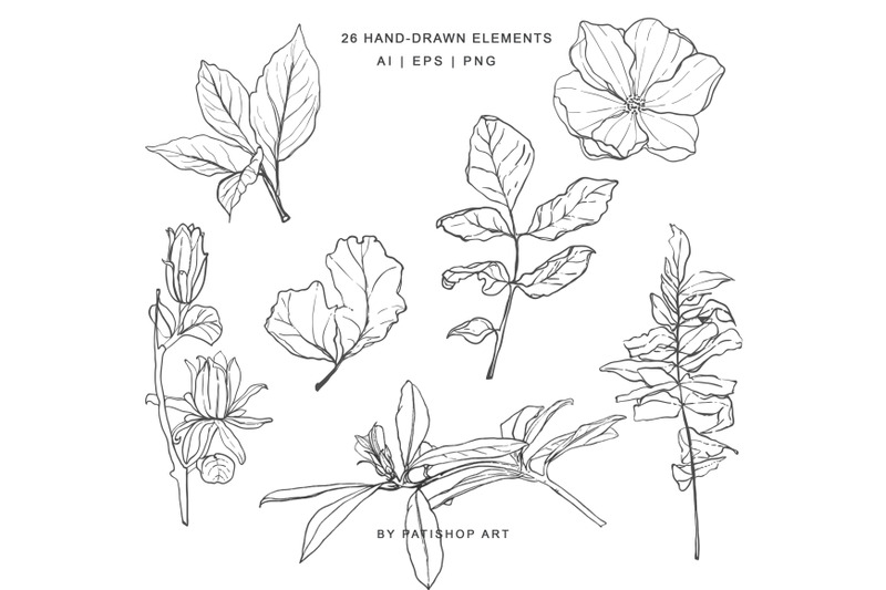 hand-drawn-botanical-logos-amp-illustrations