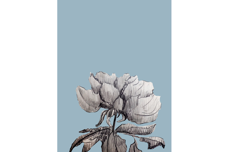 graphic-sketch-flower
