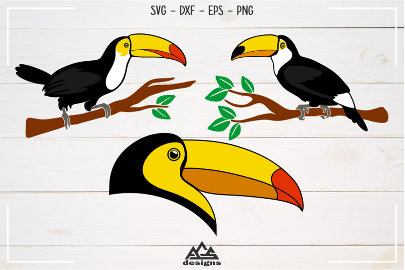 toucan-bird-svg-design