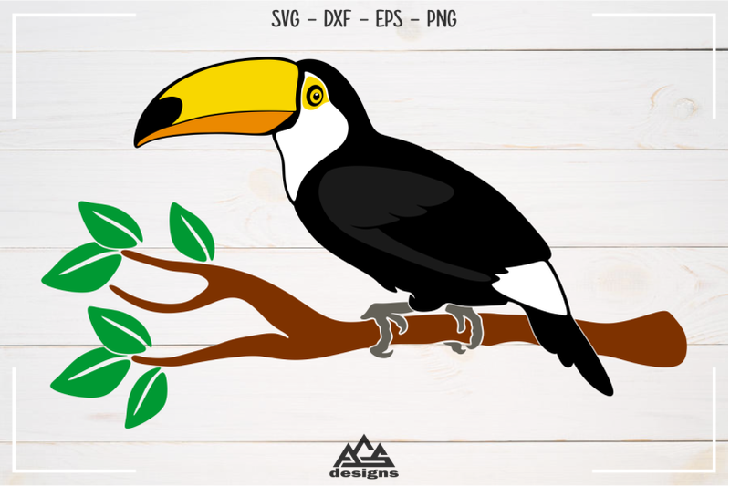 toucan-bird-svg-design