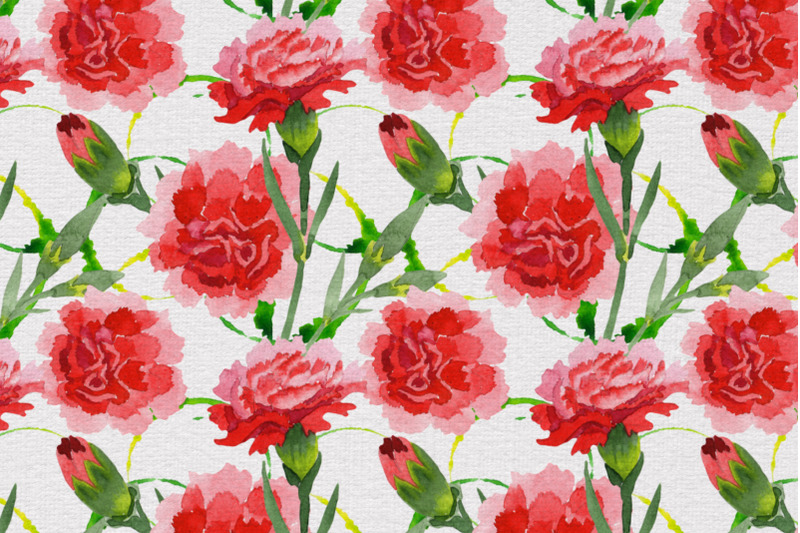 carnation-red-flowers-illustration-watercolor-png