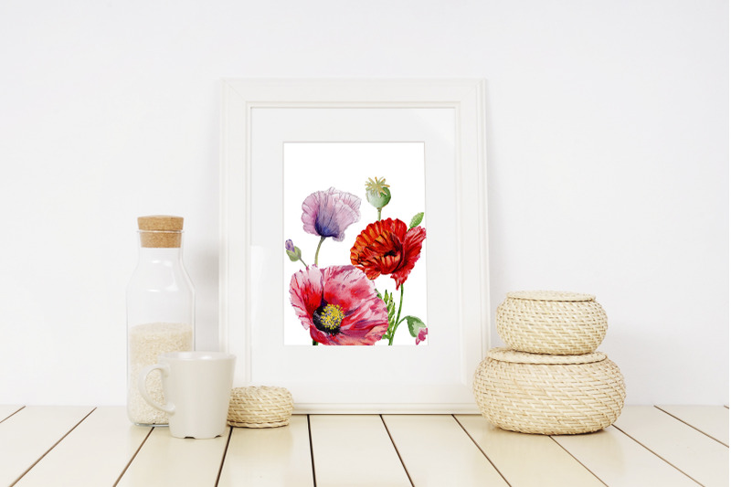 poppy-red-flower-watercolor-png
