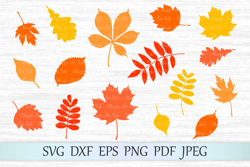 fall-leaf-svg-autumn-leaves-svg-file-fall-svg-maple-leaf-svg