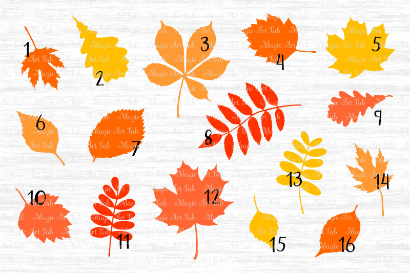 fall-leaf-svg-autumn-leaves-svg-file-fall-svg-maple-leaf-svg
