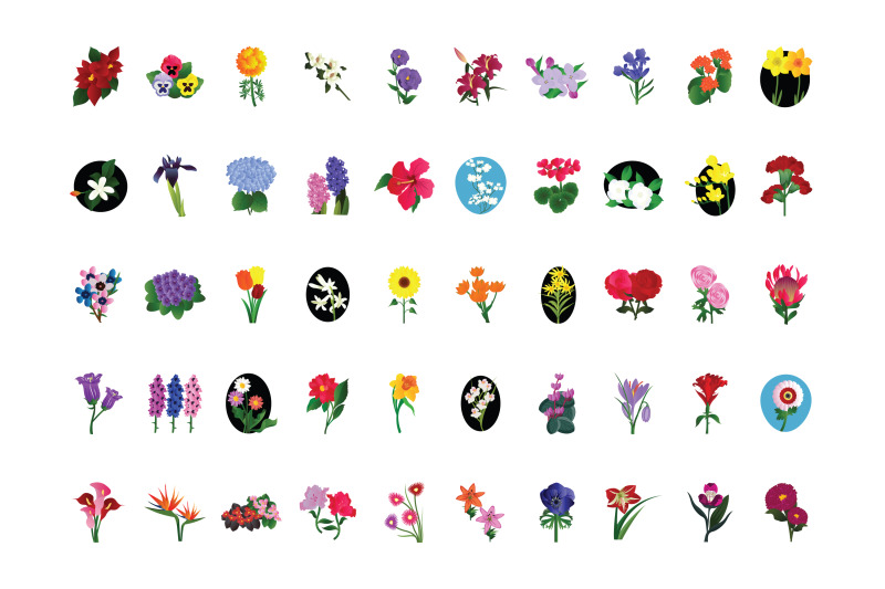 50x-flower-set-illustration