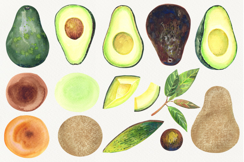 watercolor-avocado