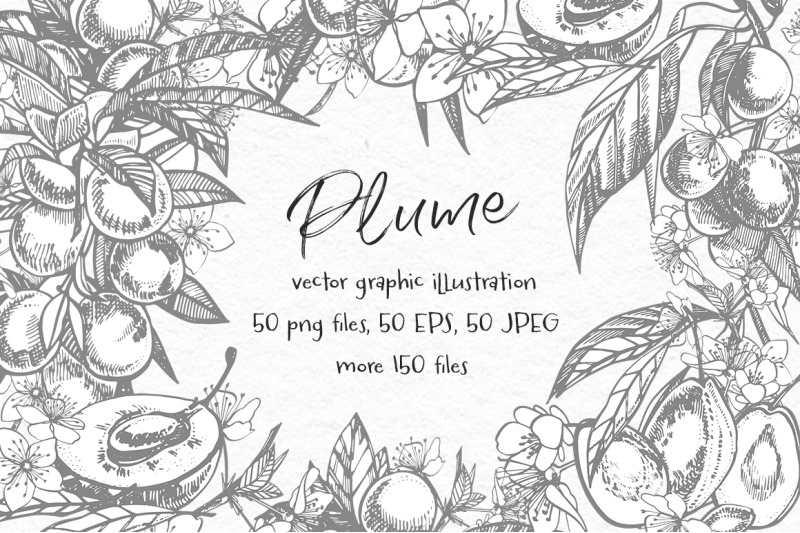 plums-in-graphic-style