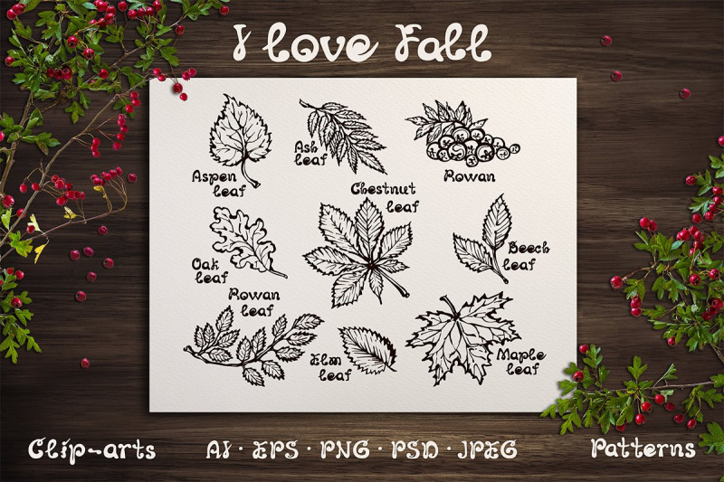 hand-drawn-fall-leaves-and-patterns
