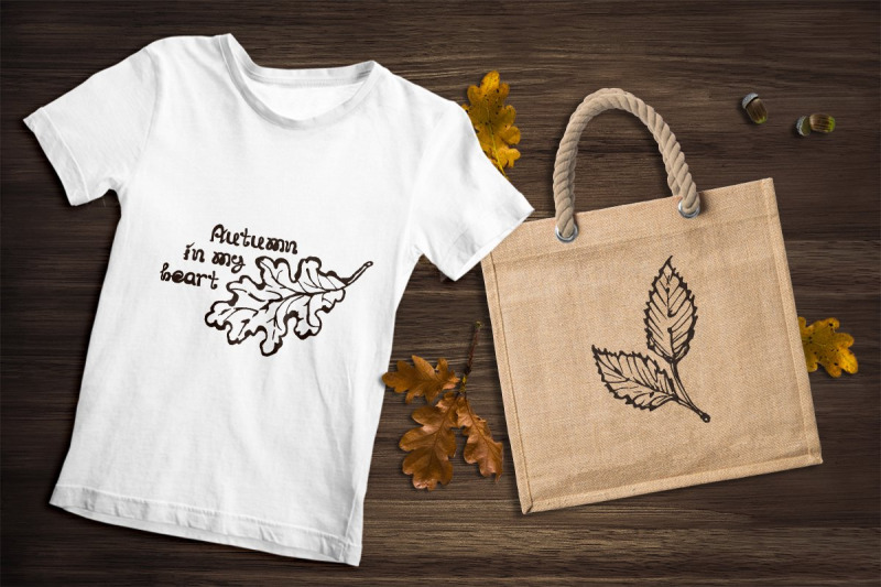 hand-drawn-fall-leaves-and-patterns