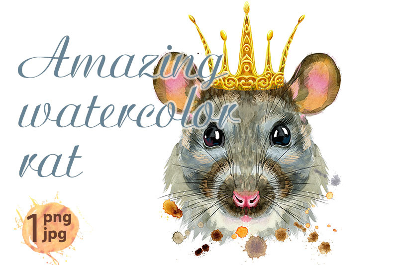 watercolor-portrait-of-rat-with-golden-crown