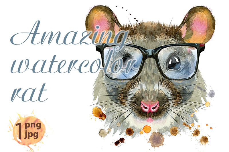 watercolor-portrait-of-rat-with-big-black-glasses