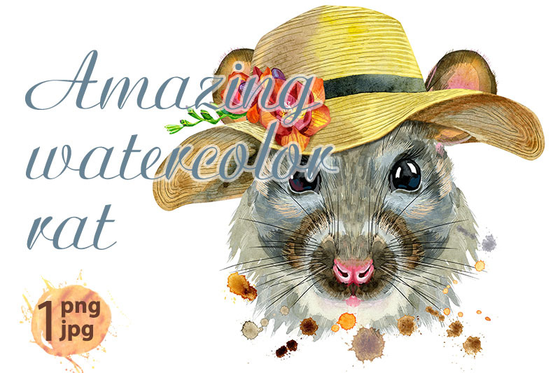 watercolor-portrait-of-rat-with-a-wide-brimmed-summer-hat